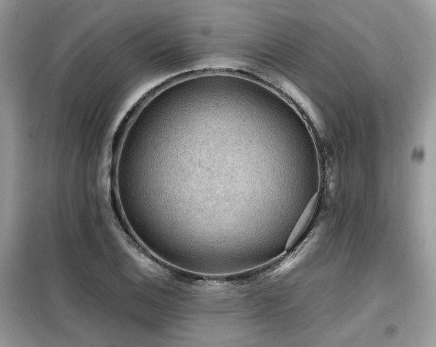 X0000099411124200805091213