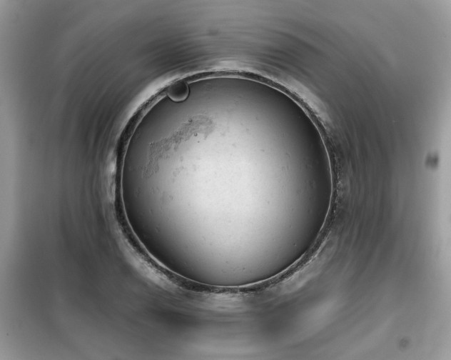 X0000099411126200805091213