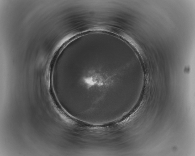 X0000099411127200805091213