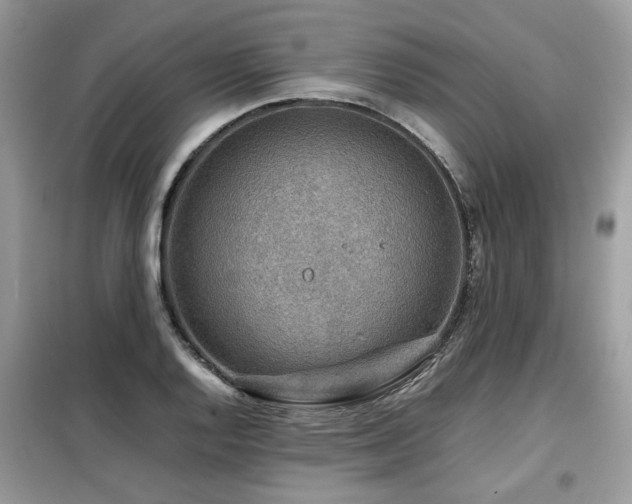 X0000099411128200805091213