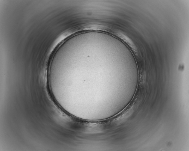 X0000099411130200805091213