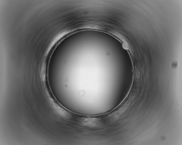 X0000099411131200805091213