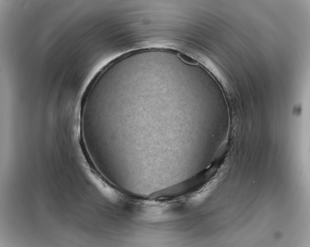 X0000099411132200805091213