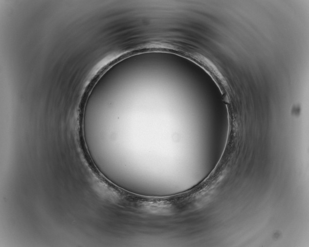 X0000099411133200805091213