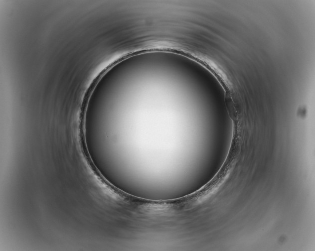 X0000099411134200805091213