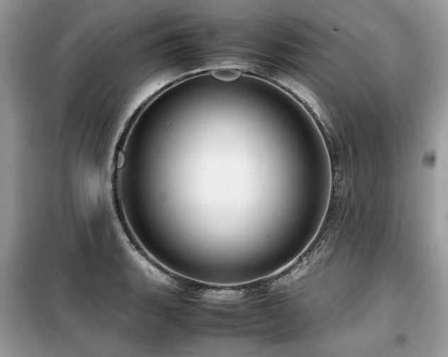 X0000099411135200805091213