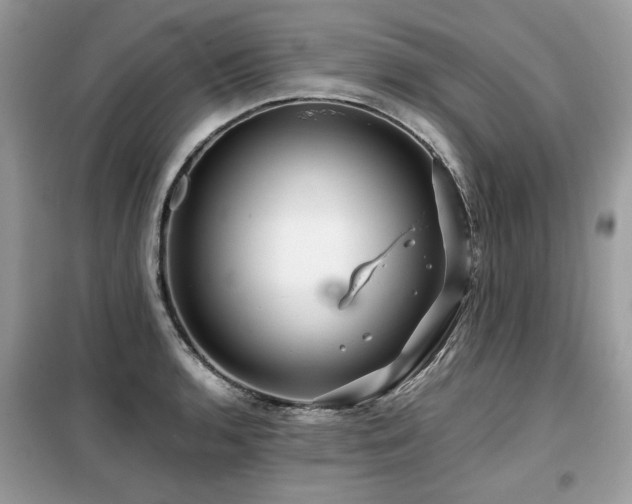 X0000099411136200805091213