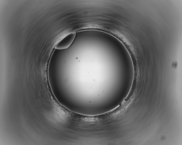 X0000099411137200805091213