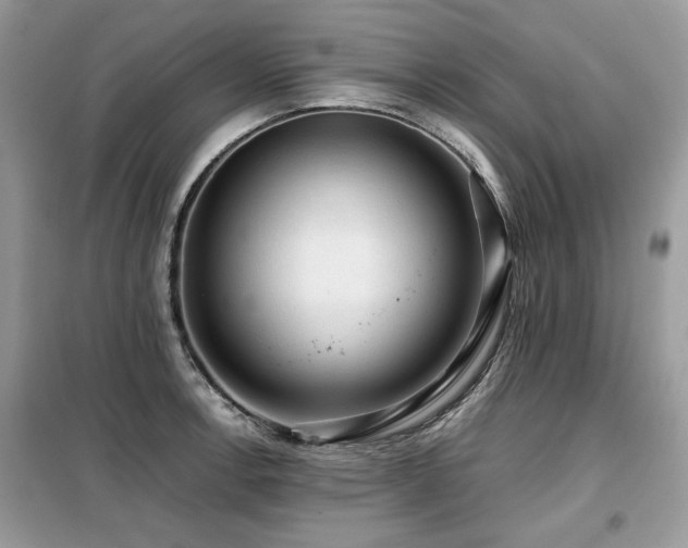 X0000099411138200805091213