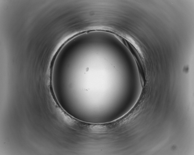 X0000099411140200805091213