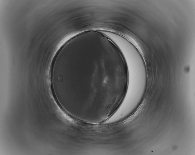 X0000099411141200805091213