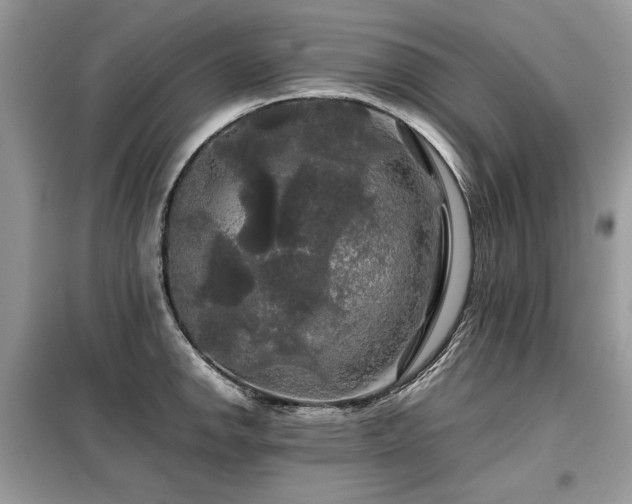 X0000099411142200805091213