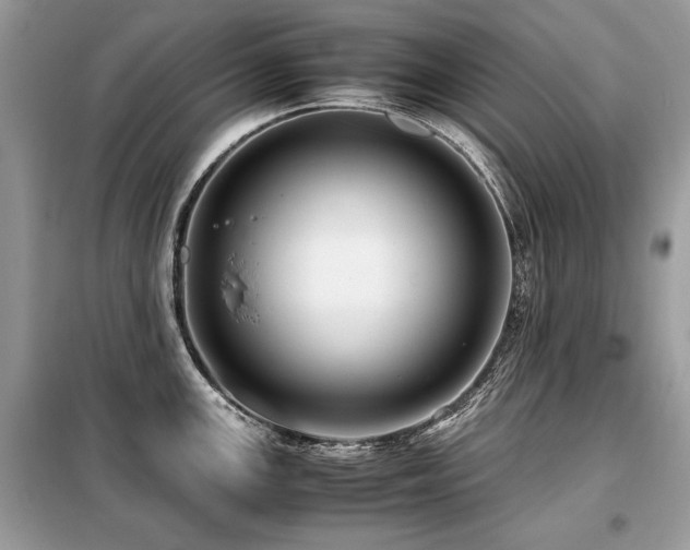 X0000099411147200805091213
