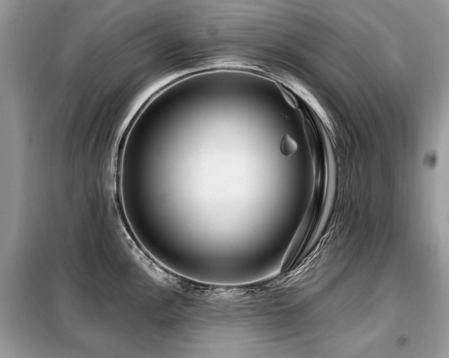 X0000099411148200805091213