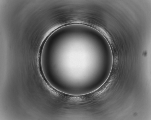 X0000099411149200805091213