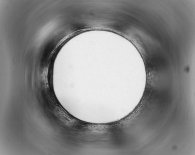 X0000099411150200805091213