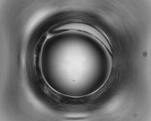 X0000099411151200805091213