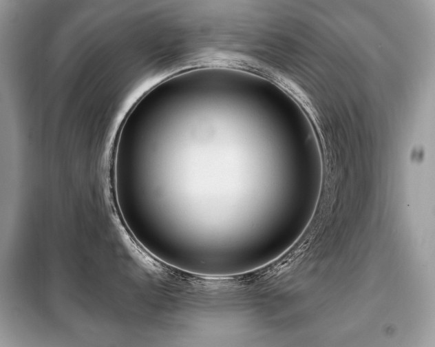 X0000099411152200805091213