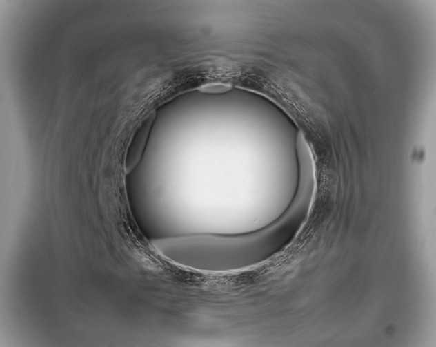 X0000099411153200805091213