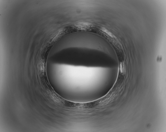 X0000099411155200805091213