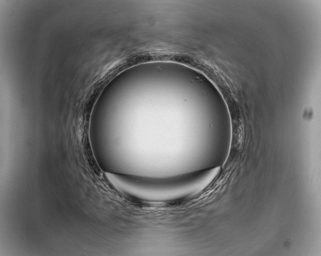 X0000099411157200805091213