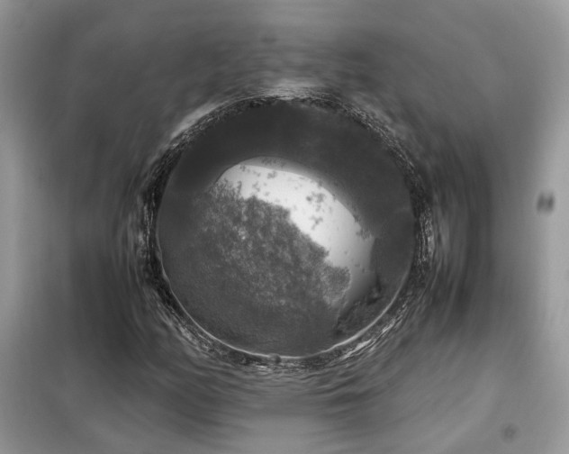 X0000099411158200805091212