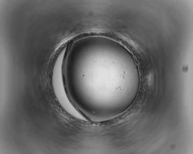 X0000099411160200805091212