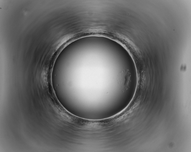 X0000099411162200805091212