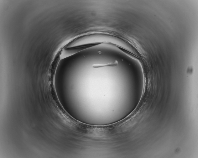 X0000099411164200805091212