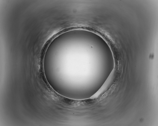 X0000099411165200805091212