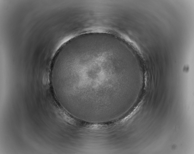 X0000099411166200805091212