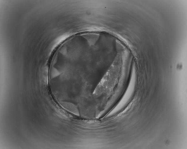 X0000099411171200805091212
