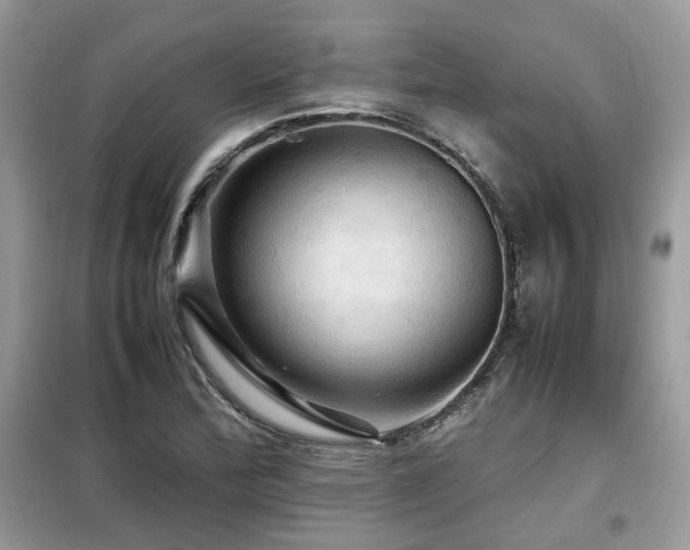 X0000099411172200805091212