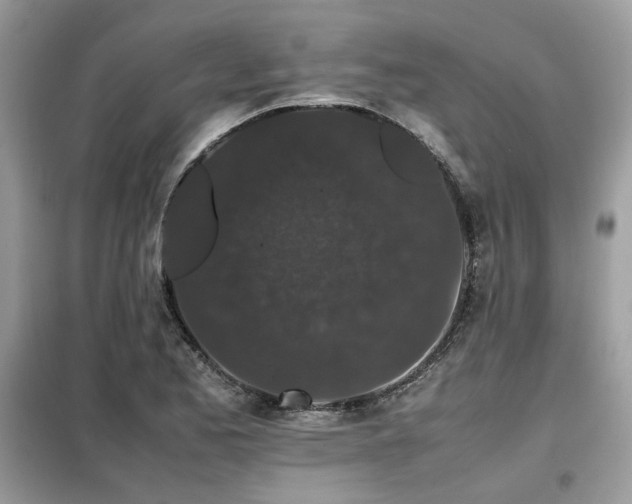 X0000099411173200805091212