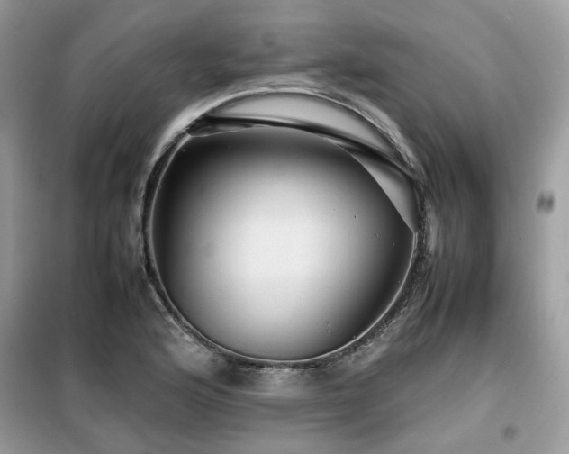 X0000099411176200805091212