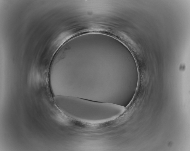 X0000099411177200805091212