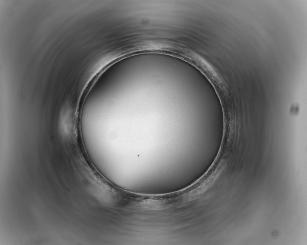 X0000099411178200805091212