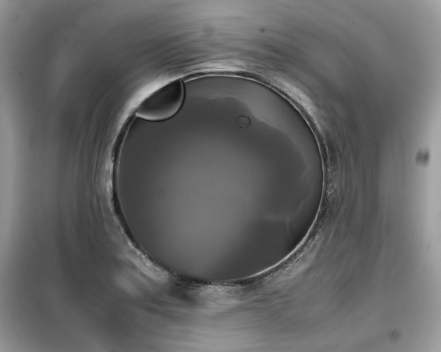 X0000099411179200805091212