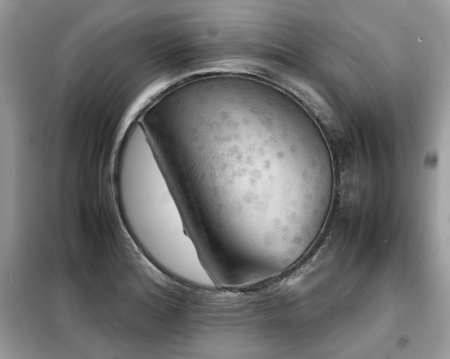 X0000099411180200805091212
