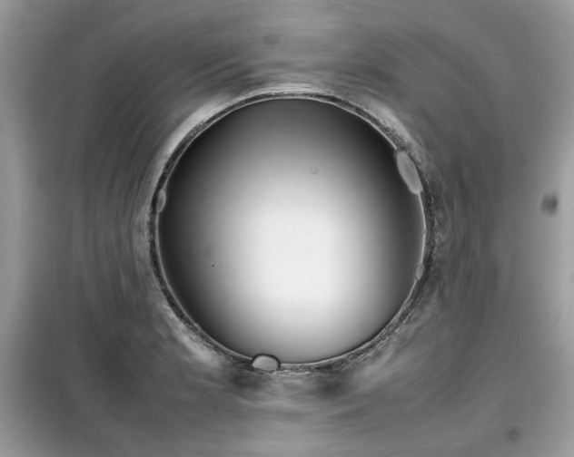 X0000099411181200805091212