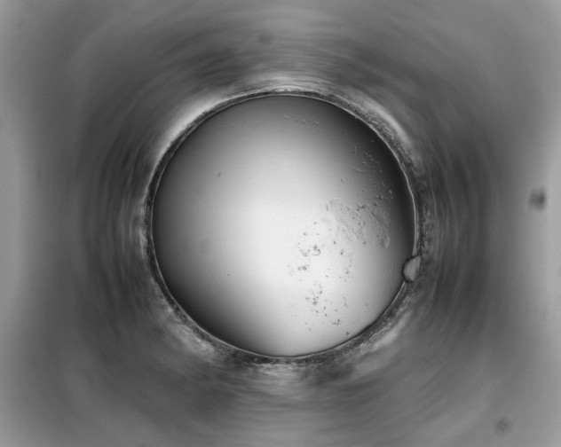X0000099411182200805091212