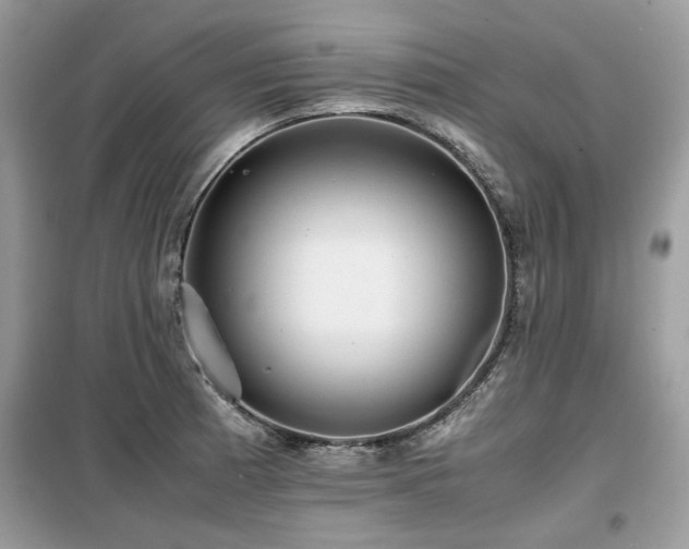 X0000099411185200805091212