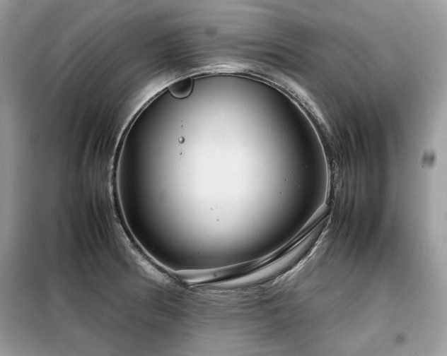 X0000099411186200805091212
