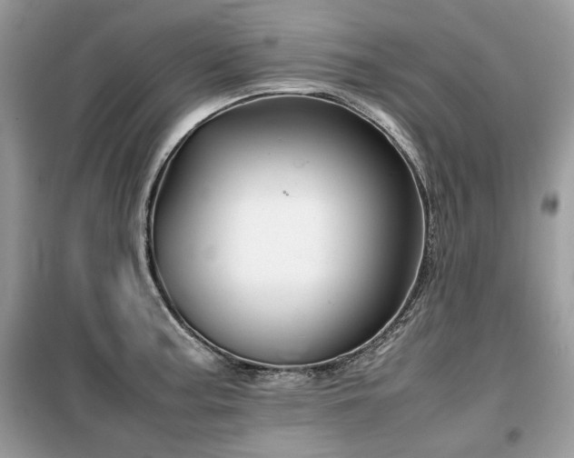 X0000099411187200805091212