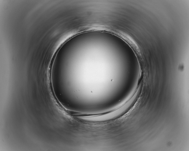 X0000099411190200805091212