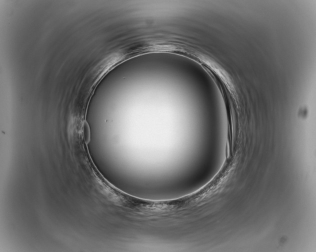X0000099411193200805091212