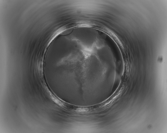 X0000099411194200805091212