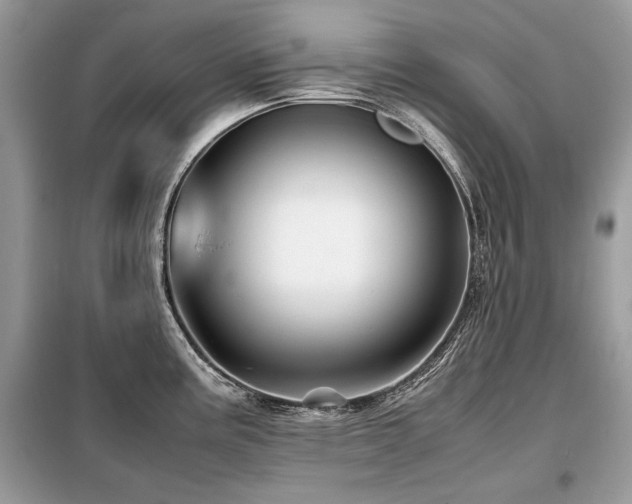 X0000099411195200805091212