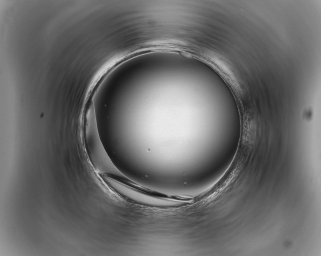 X0000099411196200805091212