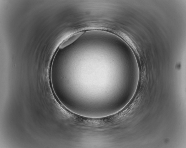 X0000099411197200805091212
